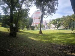 Blk 109 Potong Pasir Avenue 1 (Toa Payoh), HDB 3 Rooms #582787271